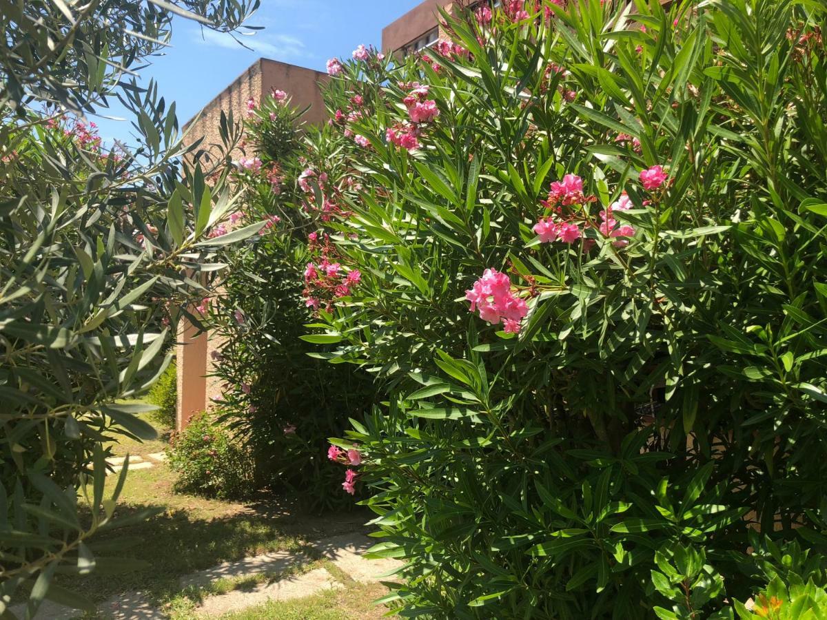 Bilocali Residenza Mediterranea Cannigione Exteriör bild